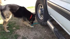 My toy is stuck.