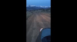 Elk crossing in estes Park, Colorado