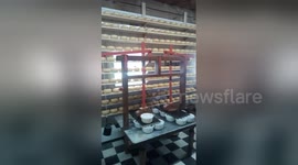 Newsflare Edit - Cheese Shop