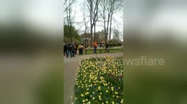 Newsflare Edit - Keukenhof 2017 - Tulips