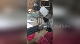 Dogs try to lick each other through table frame