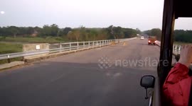 Family of lions sneak back into national park