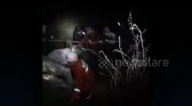 Firefighters rescue cattle trapped in bog