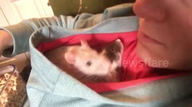 Boyz in the Hood