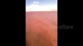 Salt lake in China turns pink