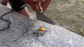Bricklayer separates an egg yolk with his trowel