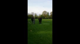 3legged race/fail!