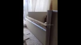 Puppy escape genius