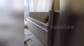 Newsflare Edit - Puppy escape genius