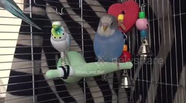 What?..........I didn't do anything.