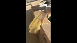 Precious little girl makes fountain wish for Disneyland
