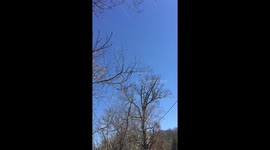 Air Force One flying above me