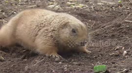 When You're Trying To Find The Easter Eggs