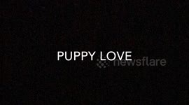 A Random Moment of Puppy Love