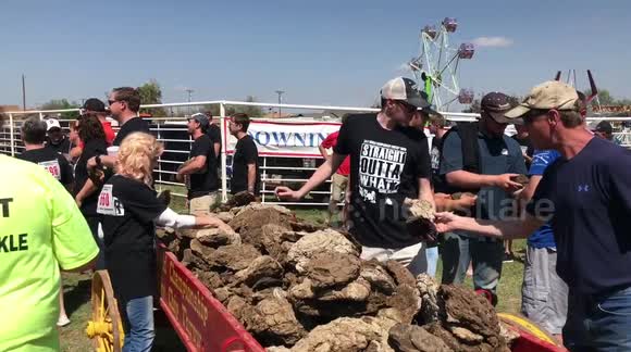 'Cow chip' throwing contest takes place in Beaver, Oklahoma