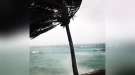 Newsflare Edit - Cyclone in Vanuatu April 2017