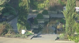UK man gets caught stealing money from park wishing pond
