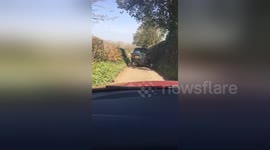 Motorist ties dogs' leads to 'walk' them while driving