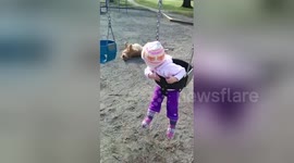 Newsflare Edit - Golden retriever goes crazy when spring has finally arrived!