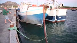 Newsflare Edit - Great white shark spotted in harbour in South Africa