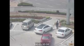 Newbie driver tries to lift car up after failing to park it on wheels