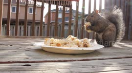 Expired bread + good weather yesterday = Party in the backyard :)