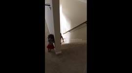 FUNNY!! My daughter messing with her sister