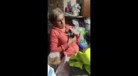 Evil kitten