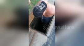 Newsflare Edit - The Gus snatches a snapping turtle