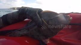 Spear Fishing On The North Coast Cornwall - Catching Flat Fish inc Flounder