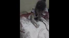 Babies having fun