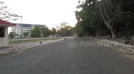 Monkey invaded city of Prachuap khiri khan