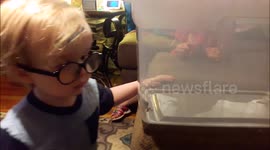 Tree Frog Meets Loving Kids