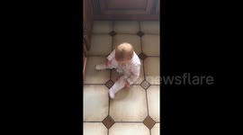 Newsflare Edit - Baby finishes off Annie Lennox intro