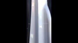 SURPRISE!!!!! MY CUTE NEW PUPPY, PADMÉ!!!