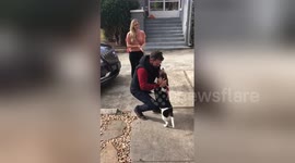 Beagle goes crazy when reunited with his owner after 18 months