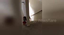 Girl messes with her sister who is scared of dolls