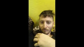 Cute Baby Ferret Loves Beard