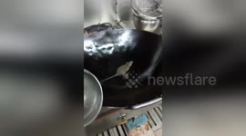 Mouse cannot come out of oily pan