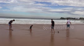 Catching beachworms at Australian beach on ANZAC day