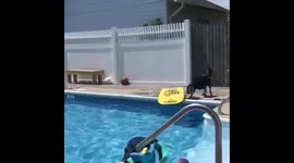 Not your ordinary game of fetch