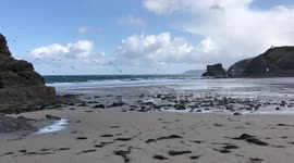 Cornish beach covered in rubbish and fishing nets after stormy night