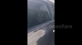Newsflare Edit - Man smashes car window to rescue dog from allegedly hot car
