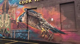 Graffiti on Cast Iron building in Downtown Rochester
