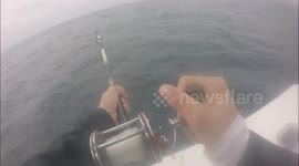 Catching a 8ft Shark Deep Sea Fishing!!