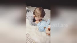 Newsflare Edit - Baby and chihuahua