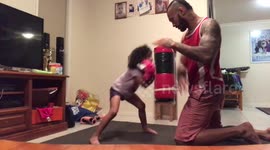 Witness the incredible power of this four-year-old boxer