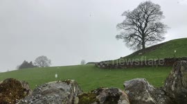 Hail storm in the Eden Valley, UK