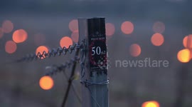 vineyard illuminated by flames to keep grape vines safe in cold weather