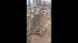 Southern China landmark building demolished in eight seconds